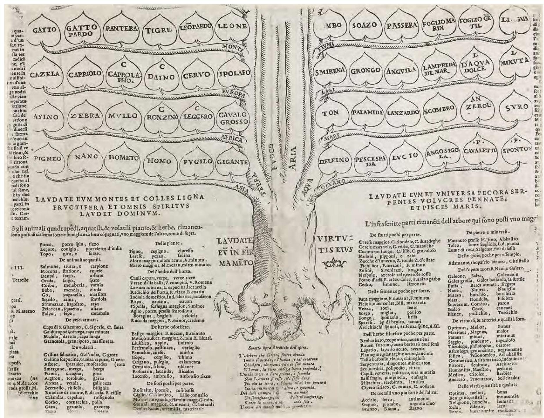 Historical engraving arranging animals and elements of the world along the branches of a tree
