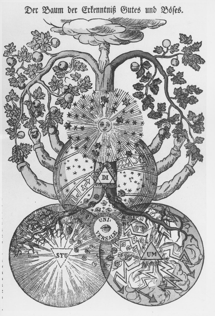 Historical engraving of a symbolic tree combining celestial bodies, fruit and forms of the world